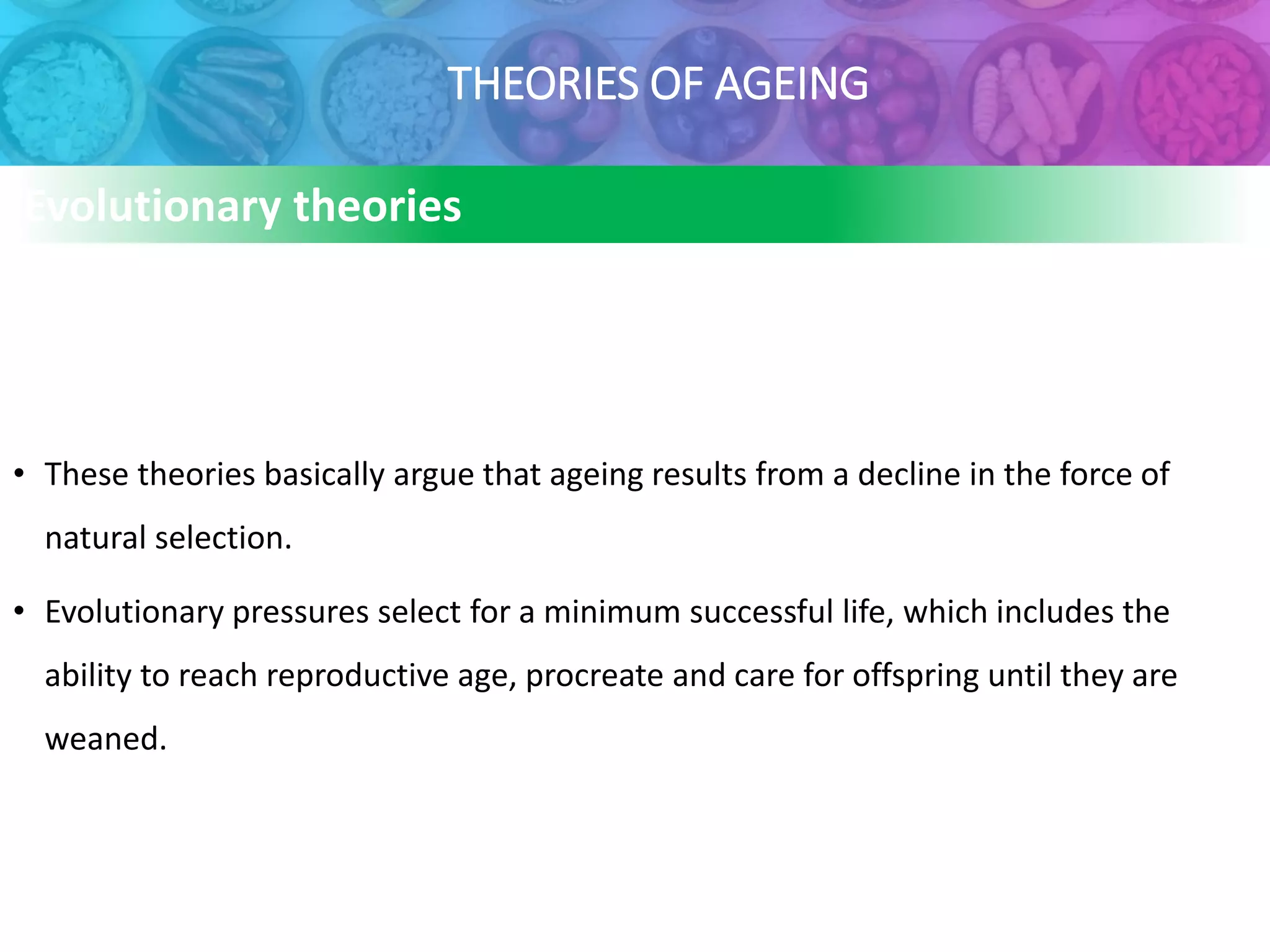 THEORIES OF AGEING
Evolutionary theories
• These theories basically argue that ageing results from a decline in the force of
natural selection.
• Evolutionary pressures select for a minimum successful life, which includes the
ability to reach reproductive age, procreate and care for offspring until they are
weaned.
 