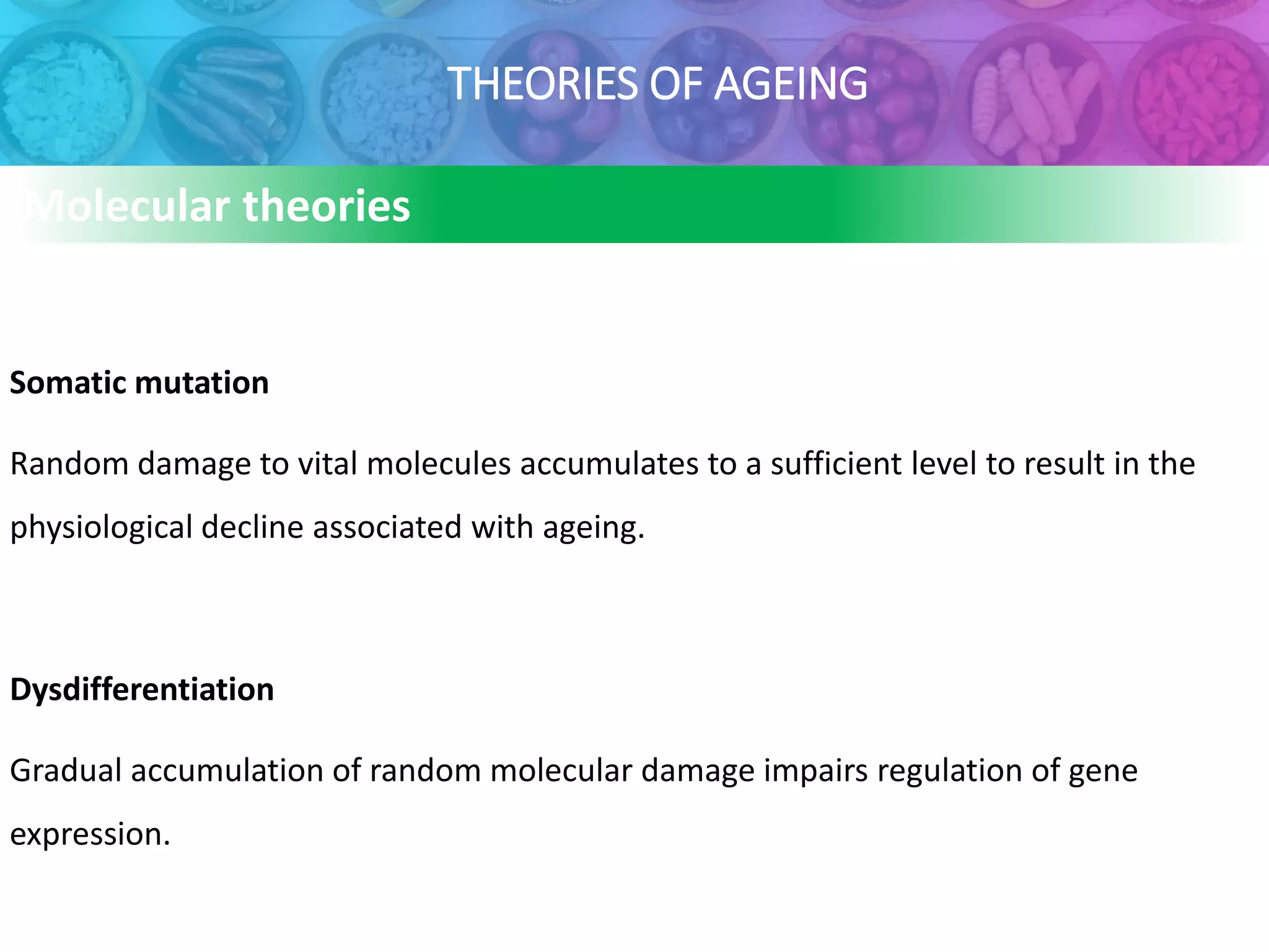 THEORIES OF AGEING
Molecular theories
Somatic mutation
Random damage to vital molecules accumulates to a sufficient level to result in the
physiological decline associated with ageing.
Dysdifferentiation
Gradual accumulation of random molecular damage impairs regulation of gene
expression.
 