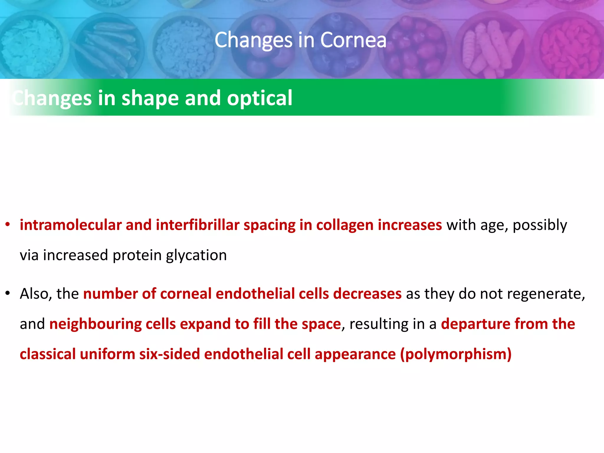 Changes in Cornea
• intramolecular and interfibrillar spacing in collagen increases with age, possibly
via increased protein glycation
• Also, the number of corneal endothelial cells decreases as they do not regenerate,
and neighbouring cells expand to fill the space, resulting in a departure from the
classical uniform six-sided endothelial cell appearance (polymorphism)
Changes in shape and optical
properties
 