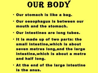 OUR BODY
●

●

●

●

●

Our stomach is like a bag.
Our oesophagus is between our
mouth and the stomach.
Our intestines are long tubes.
It is made up of two par ts: the
small intestine,which is about
seven metres long,and the lar ge
intestine,which is about a metre
and half long.
At the end of the lar ge intestine
is the anus.

 