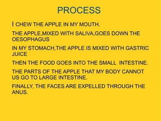 PROCESS
I CHEW THE APPLE IN MY MOUTH.
THE APPLE,MIXED WITH SALIVA,GOES DOWN THE
OESOPHAGUS
IN MY STOMACH,THE APPLE IS MIXED WITH GASTRIC
JUICE
THEN THE FOOD GOES INTO THE SMALL INTESTINE.
THE PARTS OF THE APPLE THAT MY BODY CANNOT
US GO TO LARGE INTESTINE.
FINALLY, THE FACES ARE EXPELLED THROUGH THE
ANUS.

 