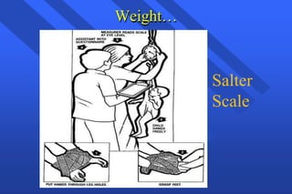 Weight…
Salter
Scale
 