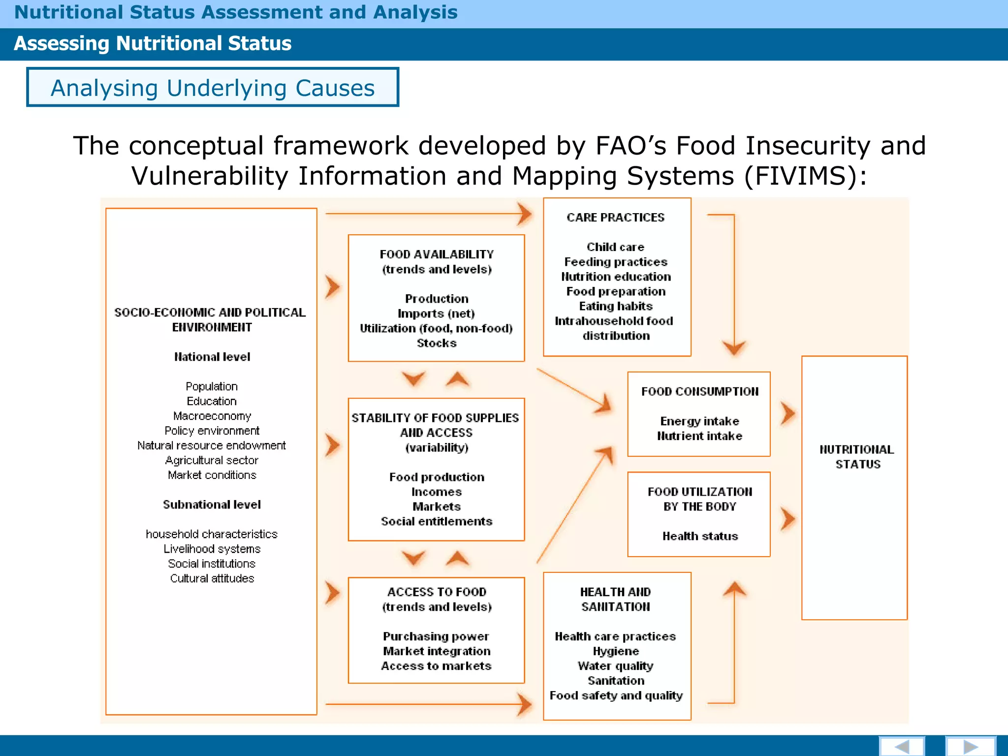 The conceptual framework developed by FAO’s Food Insecurity and Vulnerability Information and Mapping Systems (FIVIMS): Analysing Underlying Causes 