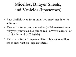 Micelles, Bilayer Sheets, 
and Vesicles (liposomes) 
• Phospholipids can form organized structures in water 
solutions 
• These structures can be micelles (ball-like structures), 
bilayers (sandwich-like structures), or vesicles (similar 
to micelles with H2O inside) 
• These structures comprise cell membranes as well as 
other important biological systems 
 