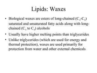 Lipids: Waxes 
• Biological waxes are esters of long-chained (C14-C36) 
saturated and unsaturated fatty acids along with long-chained 
(C16 to C30) alcohols 
• Usually have higher melting points than triglycerides 
• Unlike triglycerides (which are used for energy and 
thermal protection), waxes are used primarily for 
protection from water and other external chemicals 
 