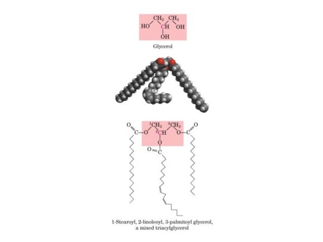 Lipids That Are Solid At Room Temperature Are Usually Lipids That Are Solid At Room Temperature Are Usually