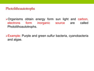 Photolithoautotrophs
Organisms obtain energy form sun light and carbon,
electrons form inorganic source are called
Photolithoautotrophs.
Example: Purple and green sulfur bacteria, cyanobacteria
and algae.
 