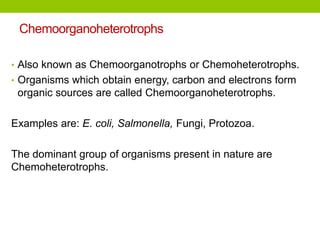 Chemoorganoheterotrophs
• Also known as Chemoorganotrophs or Chemoheterotrophs.
• Organisms which obtain energy, carbon and electrons form
organic sources are called Chemoorganoheterotrophs.
Examples are: E. coli, Salmonella, Fungi, Protozoa.
The dominant group of organisms present in nature are
Chemoheterotrophs.
 