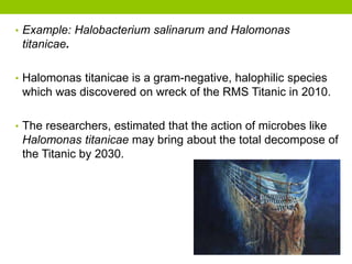 • Example: Halobacterium salinarum and Halomonas
titanicae.
• Halomonas titanicae is a gram-negative, halophilic species
which was discovered on wreck of the RMS Titanic in 2010.
• The researchers, estimated that the action of microbes like
Halomonas titanicae may bring about the total decompose of
the Titanic by 2030.
 