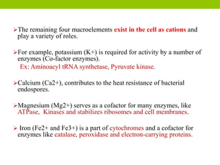 The remaining four macroelements exist in the cell as cations and
play a variety of roles.
For example, potassium (K+) is required for activity by a number of
enzymes (Co-factor enzymes).
Ex: Aminoacyl tRNA synthetase, Pyruvate kinase.
Calcium (Ca2+), contributes to the heat resistance of bacterial
endospores.
Magnesium (Mg2+) serves as a cofactor for many enzymes, like
ATPase, Kinases and stabilizes ribosomes and cell membranes.
 Iron (Fe2+ and Fe3+) is a part of cytochromes and a cofactor for
enzymes like catalase, peroxidase and electron-carrying proteins.
 