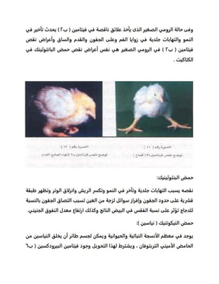 p
o
u
l
t
r
y
n
u
t
r
it
io
n
 