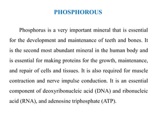PHOSPHOROUS
Phosphorus is a very important mineral that is essential
for the development and maintenance of teeth and bones. It
is the second most abundant mineral in the human body and
is essential for making proteins for the growth, maintenance,
and repair of cells and tissues. It is also required for muscle
contraction and nerve impulse conduction. It is an essential
component of deoxyribonucleic acid (DNA) and ribonucleic
acid (RNA), and adenosine triphosphate (ATP).
 