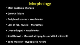 Morphology
• Main anatomic changes
• Growth failure
• Peripheral edema – kwashiorkor
• Loss of fat , muscle – Marasmus
• Liver enlarged – kwashiorkor
• Small bowel – Mucosal atrophy, loss of villi & microvilli
• Bone marrow – Hypoplastic nature
 