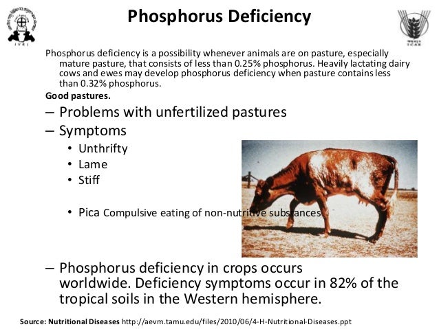 Nutritional Disease Epidemiology