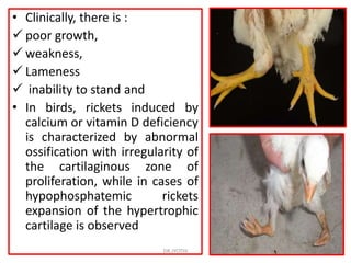 nutritional diseases.pdf