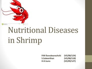 Nutritional Diseases
in Shrimp
P.M Dunukearachchi (VS/08/124)
S.Sukeerthan (VS/08/118)
H.K.Isuru (VS/09/127)
 
