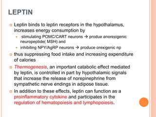 LEPTIN
 Leptin binds to leptin receptors in the hypothalamus,
increases energy consumption by
 stimulating POMC/CART neurons  produe anorexigenic
neuropeptide( MSH) and
 inhibiting NPY/AgRP neurons  produce orexigenic np
 thus suppressing food intake and increasing expenditure
of calories
 Thermogenesis, an important catabolic effect mediated
by leptin, is controlled in part by hypothalamic signals
that increase the release of norepinephrine from
sympathetic nerve endings in adipose tissue.
 In addition to these effects, leptin can function as a
proinflammatory cytokine and participates in the
regulation of hematopoiesis and lymphopoiesis.
 