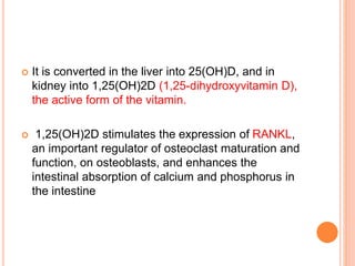  It is converted in the liver into 25(OH)D, and in
kidney into 1,25(OH)2D (1,25-dihydroxyvitamin D),
the active form of the vitamin.
 1,25(OH)2D stimulates the expression of RANKL,
an important regulator of osteoclast maturation and
function, on osteoblasts, and enhances the
intestinal absorption of calcium and phosphorus in
the intestine
 