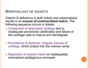 MORPHOLOGY OF RICKETS
Vitamin D deficiency in both rickets and osteomalacia
results in an excess of unmineralized matrix. The
following sequence occurs in rickets:
 Overgrowth of epiphyseal cartilage due to
inadequate provisional calcification and failure of
the cartilage cells to mature and disintegrate
 Persistence of distorted, irregular masses of
cartilage, which project into the marrow cavity
 Deposition of osteoid matrix on inadequately
mineralized cartilaginous remnants
 