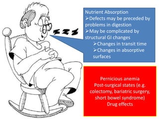 Nutrient Absorption 
Defects may be preceded by 
problems in digestion 
May be complicated by 
structural GI changes 
Changes in transit time 
Changes in absorptive 
surfaces 
Pernicious anemia 
Post-surgical states (e.g. 
colectomy, bariatric surgery, 
short bowel syndrome) 
Drug effects 
 