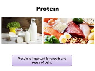 Protein
Protein is important for growth and
repair of cells.
 