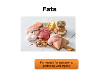 Fats
Fat needed for insulation &
protecting vital organs
 