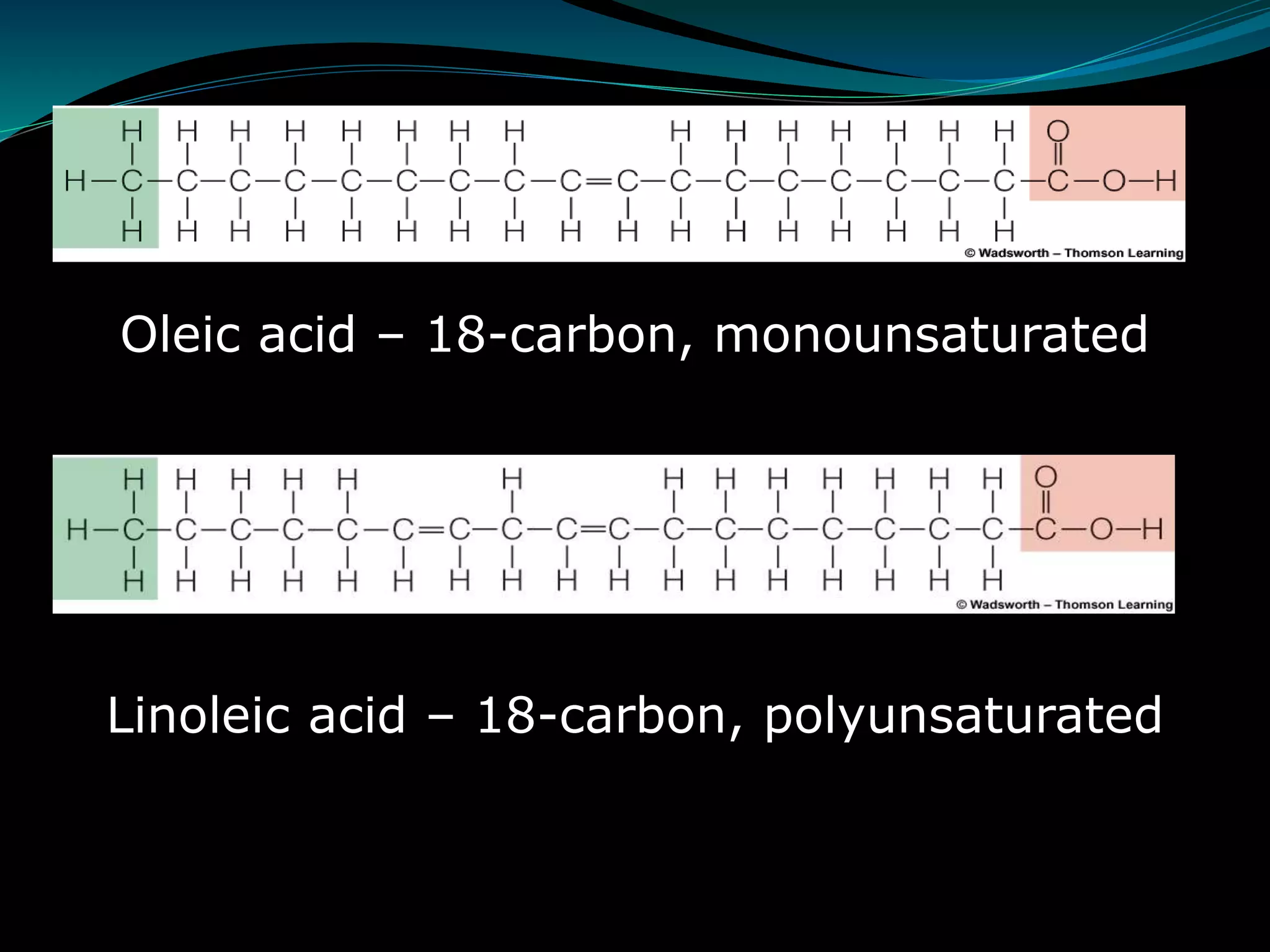 Oleic acid – 18-carbon, monounsaturated
Linoleic acid – 18-carbon, polyunsaturated
 