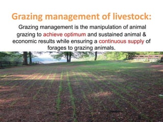 learn the importance of grazing and how to manage... Nutritional management of grazing livestock | PPTX