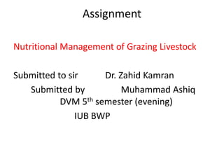 Assignment
Nutritional Management of Grazing Livestock
Submitted to sir Dr. Zahid Kamran
Submitted by Muhammad Ashiq
DVM 5th semester (evening)
IUB BWP
 