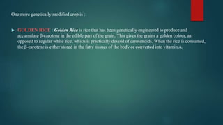 Why Is Golden Rice Good Nutritional measures to overcome malnutrition | PPTX