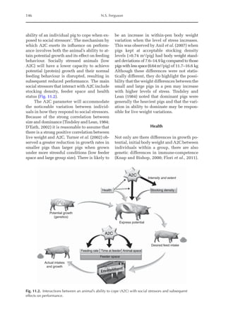 146 N.S. Ferguson
ability of an individual pig to cope when ex-
posed to social stressors’. The mechanism by
which A2C exerts its influence on perform-
ance involves both the animal’s ability to at-
tain potential growth and its effect on feeding
behaviour. Socially stressed animals (low
A2C) will have a lower capacity to achieve
potential (protein) growth and their normal
feeding behaviour is disrupted, resulting in
subsequent reduced performance. The main
social stressors that interact with A2C include
stocking density, feeder space and health
status (Fig. 11.2).
The A2C parameter will accommodate
the noticeable variation between individ-
uals in how they respond to social stressors.
Because of the strong correlation between
size and dominance (Tindsley and Lean, 1984;
D’Eath, 2002) it is reasonable to assume that
there is a strong positive correlation between
live weight and A2C. Turner et al. (2002) ob-
served a greater reduction in growth rates in
smaller pigs than larger pigs when grown
under more stressful conditions (low feeder
space and large group size). There is likely to
be an increase in within-­
pen body weight
variation when the level of stress increases.
This was observed by Anil et al. (2007) when
pigs kept at acceptable stocking density
levels (0.74 m2
/pig) had body weight stand-
ard deviations of 7.6–14.9 kg compared to those
pigswithlessspace(0.64m2
/pig) of 11.7–16.6 kg
­
Although these differences were not statis-
tically different, they do highlight the possi-
bility that the weight differences between the
small and large pigs in a pen may increase
with higher levels of stress. Tindsley and
Lean (1984) noted that dominant pigs were
generally the heaviest pigs and that the vari-
ation in ability to dominate may be respon-
sible for live weight variations.
Health
Not only are there differences in growth po-
tential, initial body weight and A2C between
individuals within a group, there are also
genetic differences in immune-competence
(Knap and Bishop, 2000; Flori et al., 2011).
Potential growth
(genetics)
Actual intakes
and growth
Feeder space
Feeding rate Time at feeder Animal space
Desired feed intake
Express potential
Stocking density
Intensity and extent
Health
A2C
A2C
Fig. 11.2. Interactions between an animal’s ability to cope (A2C) with social stressors and subsequent
effects on performance.
 
