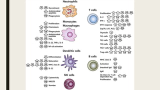 Nutritional modulation of immune function | PPTX