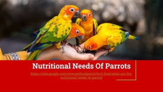 Nutritional Needs Of Parrots
https://sites.google.com/view/petfoodpatrol/bird-food/what-are-the-
nutritional-needs-of-parrots
 