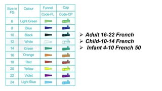  Adult 16-22 French
 Child-10-14 French
 Infant 4-10 French 50
 
