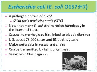 Escherichia coli (E. coli O157:H7)
 A pathogenic strain of E. coli
 Shiga-toxin producing strain (STEC)
 Note that many E. coli strains reside harmlessly in
the intestinal tract.
 Causes hemorrhagic colitis, linked to bloody diarrhea
 U.S. about 73,000 cases and 61 deaths yearly
 Major outbreaks in restaurant chains
 Can be transmitted by hamburger meat
 See exhibit 11-3 page 285
 