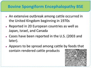 Bovine Spongiform Encephalopathy BSE
 An extensive outbreak among cattle occurred in
the United Kingdom beginning in 1970s
 Reported in 20 European countries as well as
Japan, Israel, and Canada
 Cases have been reported in the U.S. (2003 and
later).
 Appears to be spread among cattle by feeds that
contain rendered cattle products
 