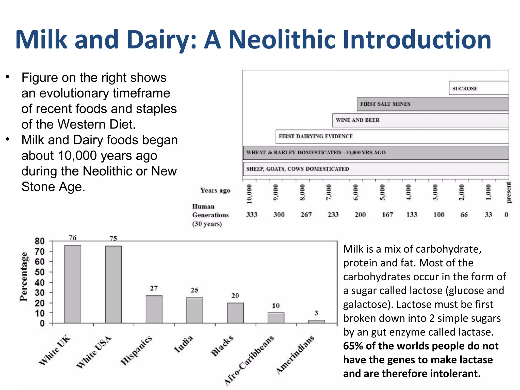 Milk and Dairy: A Neolithic Introduction
• Figure on the right shows
an evolutionary timeframe
of recent foods and staples
of the Western Diet.
• Milk and Dairy foods began
about 10,000 years ago
during the Neolithic or New
Stone Age.
Milk is a mix of carbohydrate,
protein and fat. Most of the
carbohydrates occur in the form of
a sugar called lactose (glucose and
galactose). Lactose must be first
broken down into 2 simple sugars
by an gut enzyme called lactase.
65% of the worlds people do not
have the genes to make lactase
and are therefore intolerant.
 