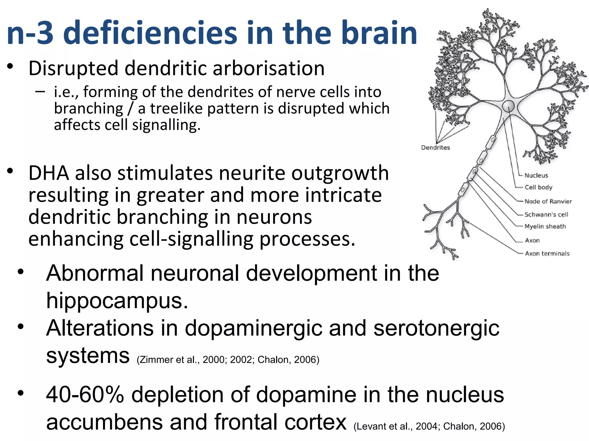 n-3 deficiencies in the brain
• Disrupted dendritic arborisation
– i.e., forming of the dendrites of nerve cells into
branching / a treelike pattern is disrupted which
affects cell signalling.
• DHA also stimulates neurite outgrowth
resulting in greater and more intricate
dendritic branching in neurons
enhancing cell-signalling processes.
• Abnormal neuronal development in the
hippocampus.
• Alterations in dopaminergic and serotonergic
systems (Zimmer et al., 2000; 2002; Chalon, 2006)
• 40-60% depletion of dopamine in the nucleus
accumbens and frontal cortex (Levant et al., 2004; Chalon, 2006)
 
