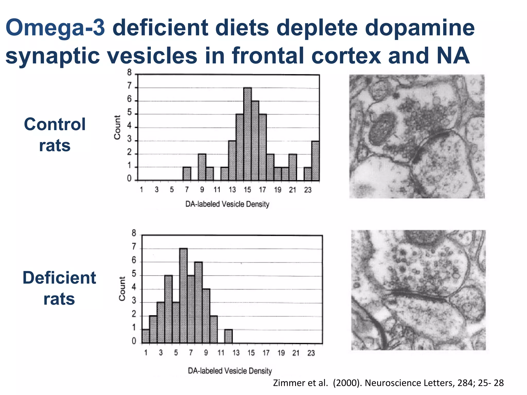 Omega-3 deficient diets deplete dopamine
synaptic vesicles in frontal cortex and NA
Control
rats
Deficient
rats
Zimmer et al. (2000). Neuroscience Letters, 284; 25- 28
 