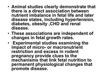 Curated visual reference: Latest Research On Nutrient Imbalance In Cats Reference: Nutritional Programming