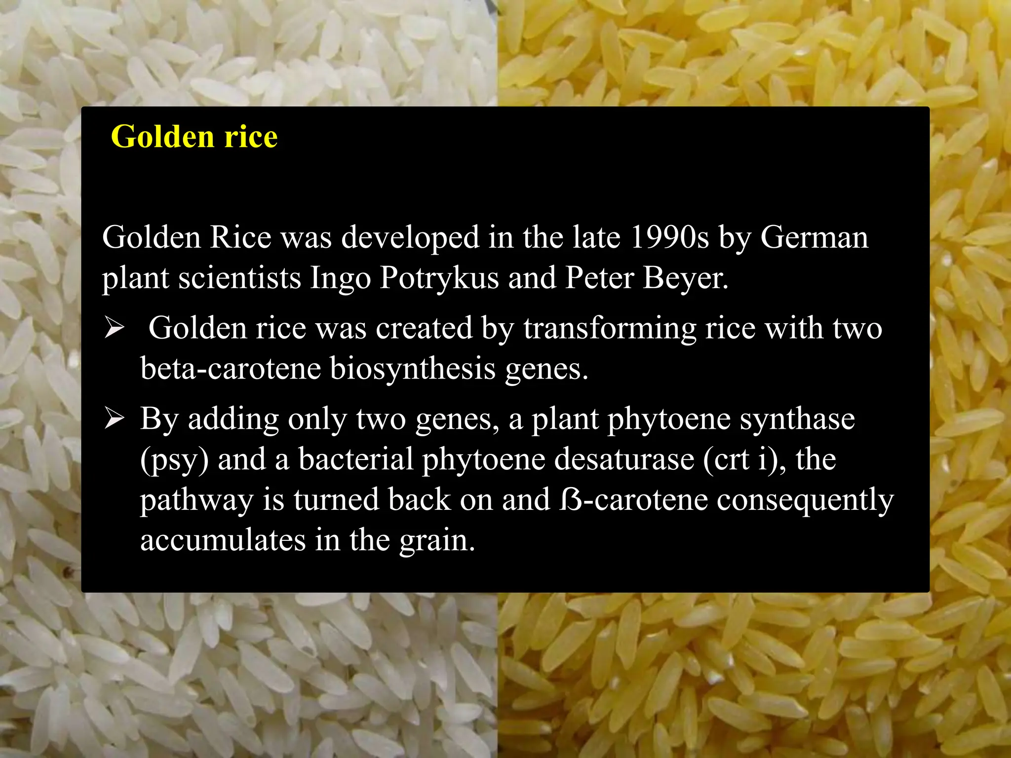 nutritional_quality_of_rice_ppt[Lavkesh verma] | PPTX