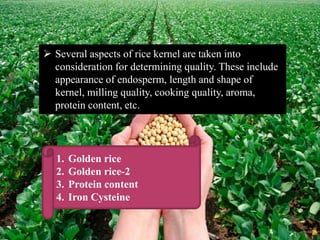 nutritional_quality_of_rice_ppt[Lavkesh verma] | PPTX
