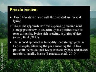 nutritional_quality_of_rice_ppt[Lavkesh verma] | PPTX