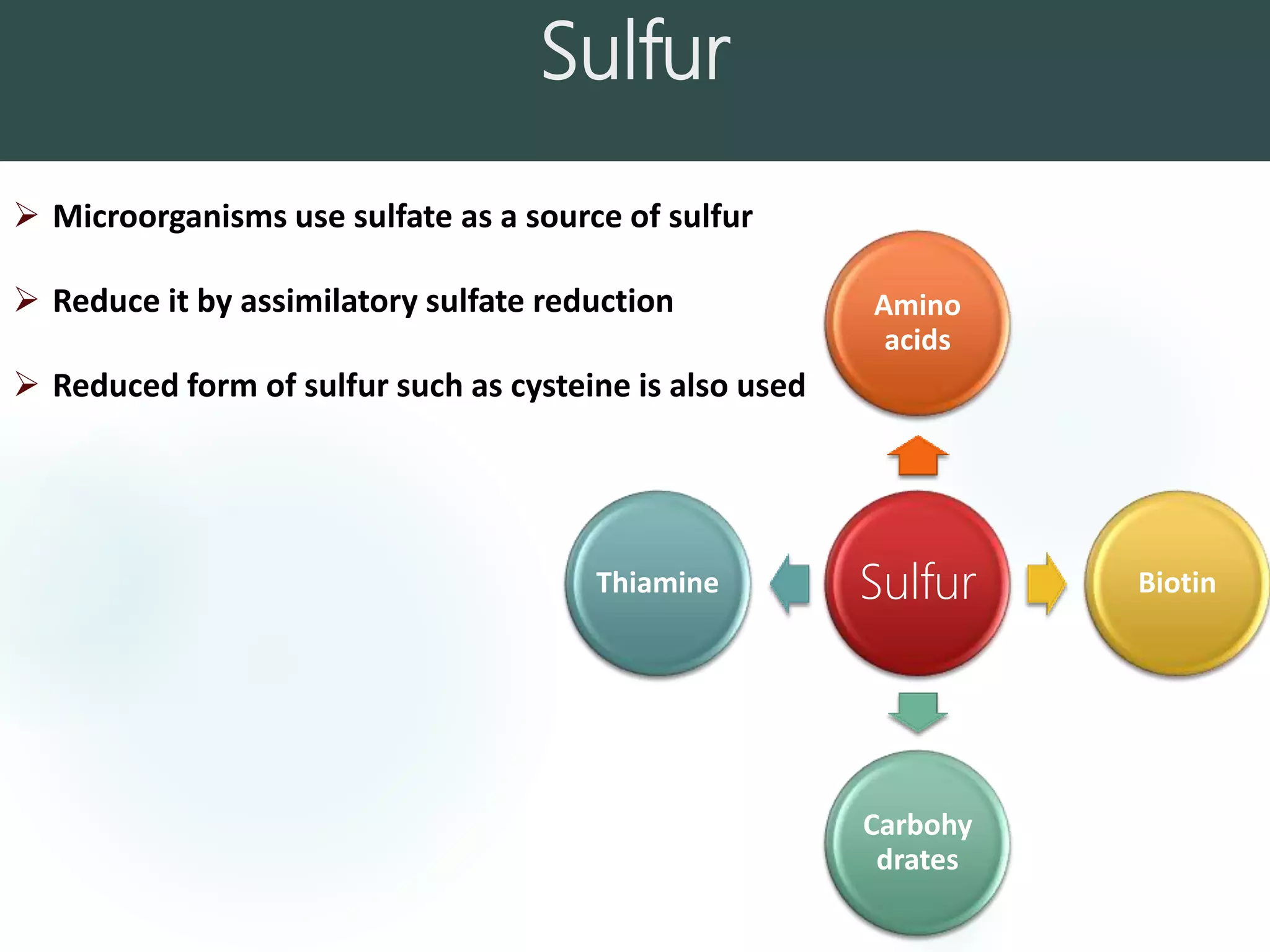 Sulfur
Sulfur
Amino
acids
Biotin
Carbohy
drates
Thiamine
 Microorganisms use sulfate as a source of sulfur
 Reduce it by assimilatory sulfate reduction
 Reduced form of sulfur such as cysteine is also used
 