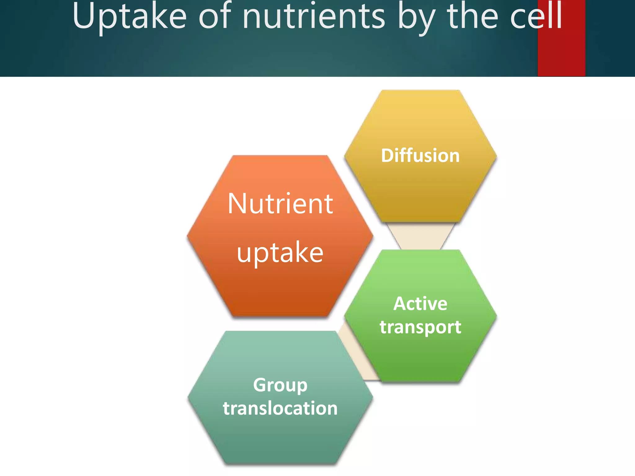 Nutrient
uptake
Diffusion
Active
transport
Group
translocation
Uptake of nutrients by the cell
 