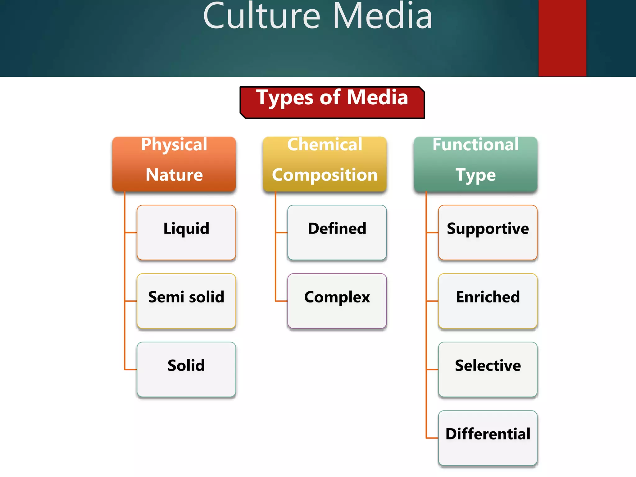 Culture Media
Physical
Nature
Liquid
Semi solid
Solid
Chemical
Composition
Defined
Complex
Functional
Type
Supportive
Enriched
Selective
Differential
Types of Media
 