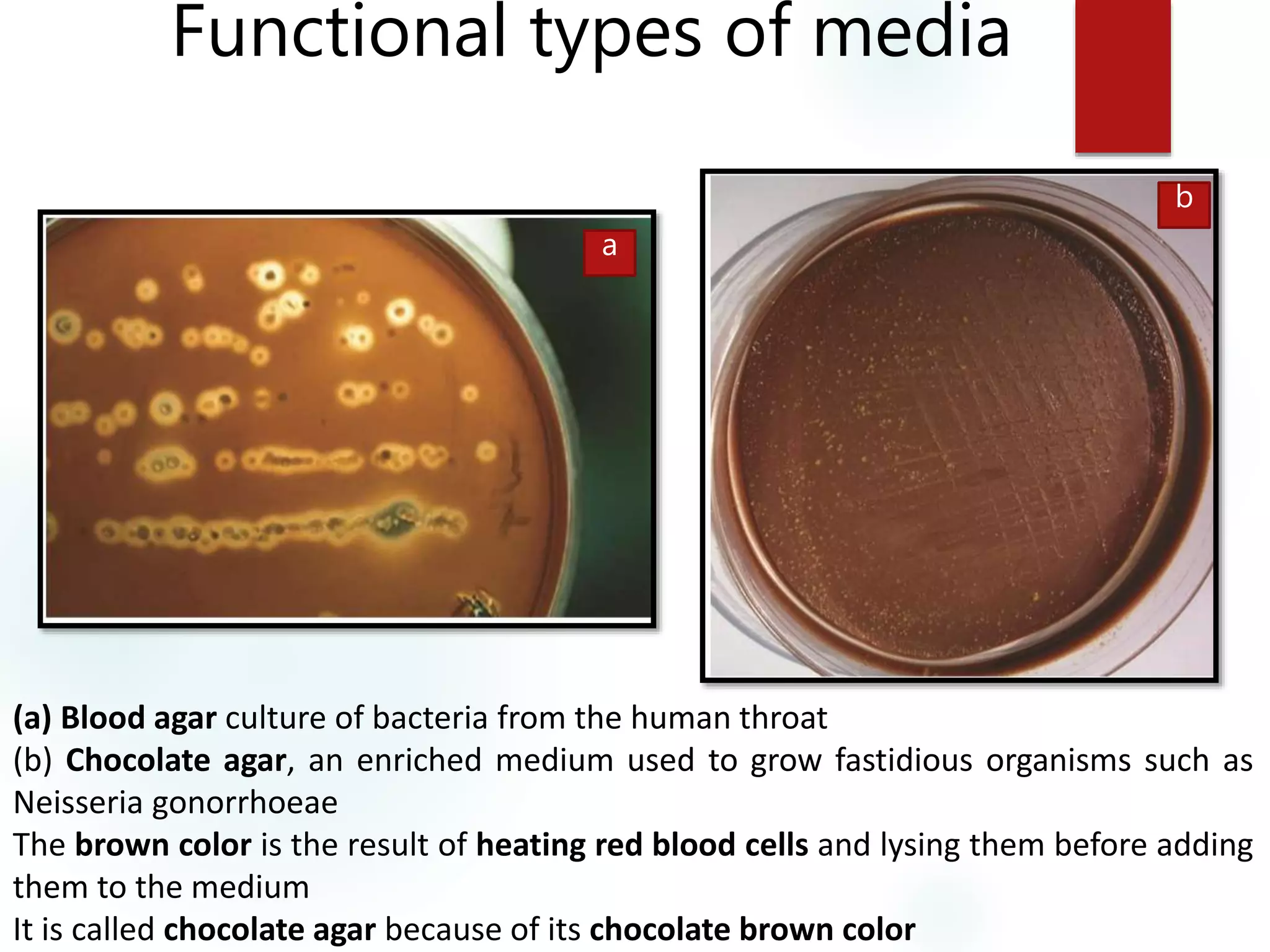 Functional types of media
(a) Blood agar culture of bacteria from the human throat
(b) Chocolate agar, an enriched medium used to grow fastidious organisms such as
Neisseria gonorrhoeae
The brown color is the result of heating red blood cells and lysing them before adding
them to the medium
It is called chocolate agar because of its chocolate brown color
a
b
 