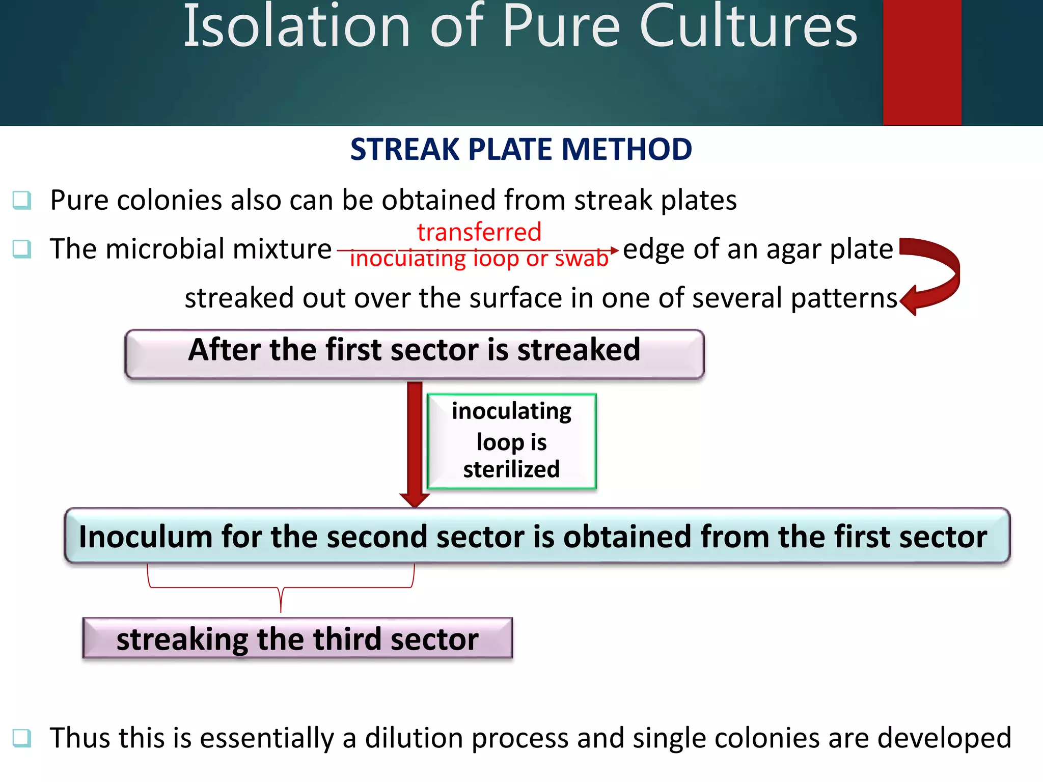 STREAK PLATE METHOD
 Pure colonies also can be obtained from streak plates
 The microbial mixture edge of an agar plate
streaked out over the surface in one of several patterns
 Thus this is essentially a dilution process and single colonies are developed
Isolation of Pure Cultures
inoculating loop or swab
transferred
inoculating
loop is
sterilized
streaking the third sector
After the first sector is streaked
Inoculum for the second sector is obtained from the first sector
 