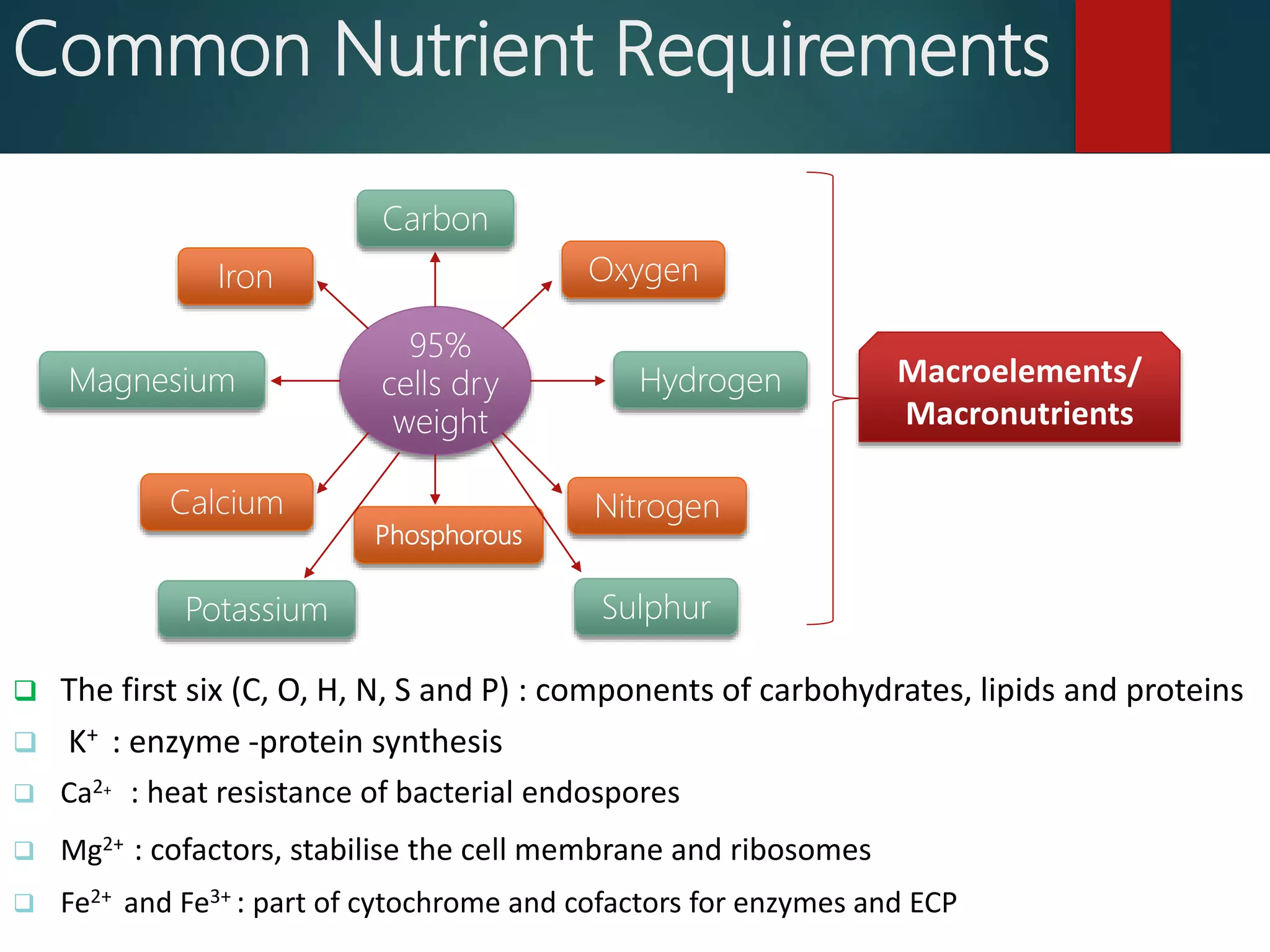 Common Nutrient Requirements
 The first six (C, O, H, N, S and P) : components of carbohydrates, lipids and proteins
 K+ : enzyme -protein synthesis
 Ca2+ : heat resistance of bacterial endospores
 Mg2+ : cofactors, stabilise the cell membrane and ribosomes
 Fe2+ and Fe3+ : part of cytochrome and cofactors for enzymes and ECP
95%
cells dry
weight
Carbon
Oxygen
Nitrogen
Phosphorous
Calcium
Hydrogen
Potassium
Magnesium
Sulphur
Iron
Macroelements/
Macronutrients
 