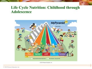 © 2010 Pearson Education, Inc.
Life Cycle Nutrition: Childhood through
Adolescence
 